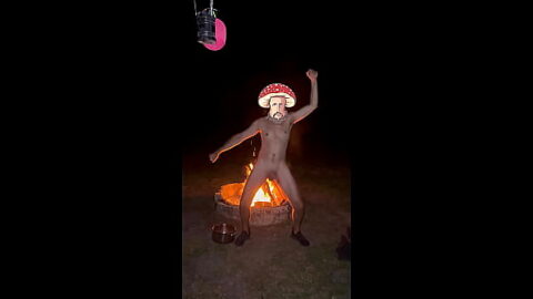 Seasonal Compilation Clips Gift